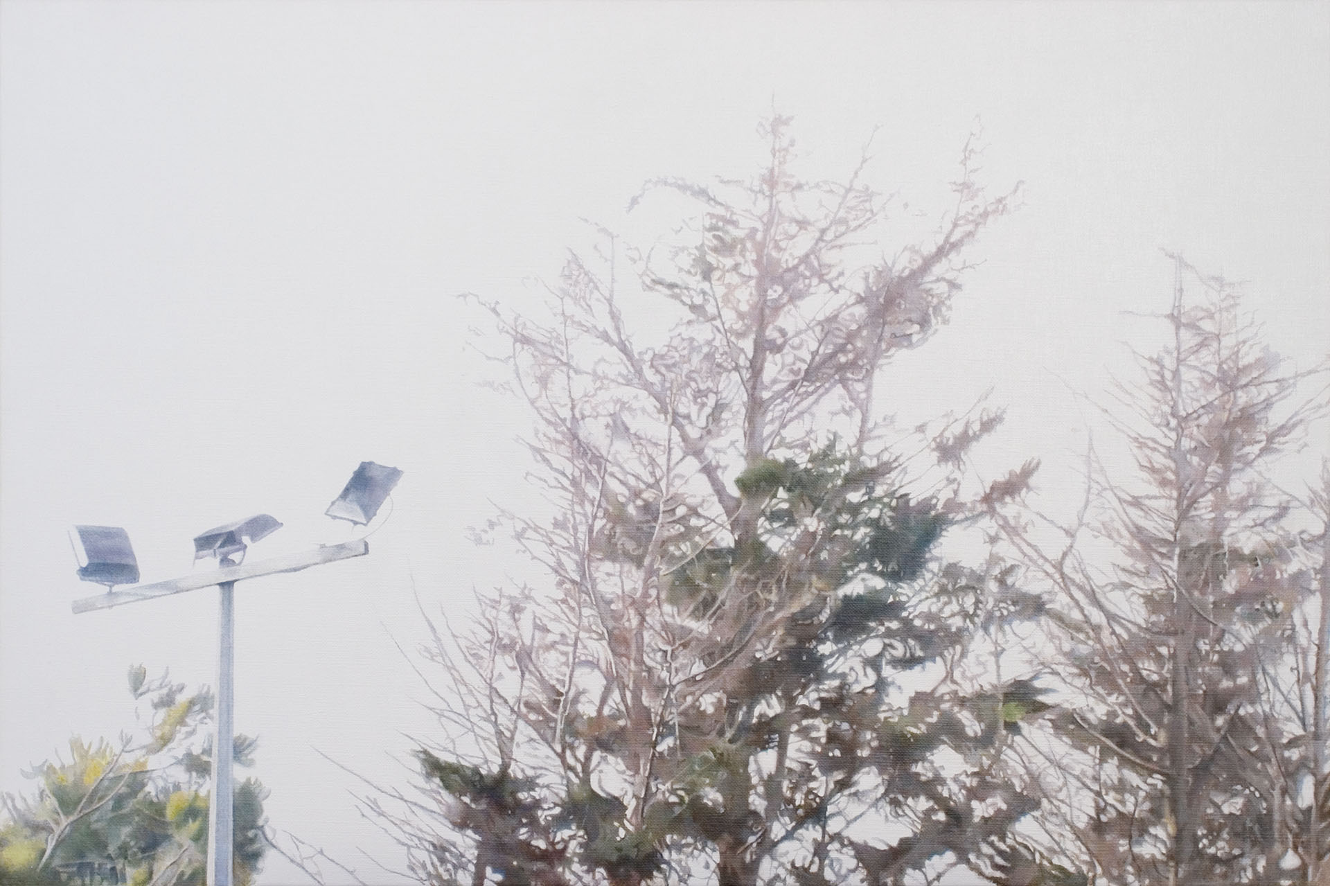 Untitled 9, 2012, acrylic on linen, 560 x 835mm