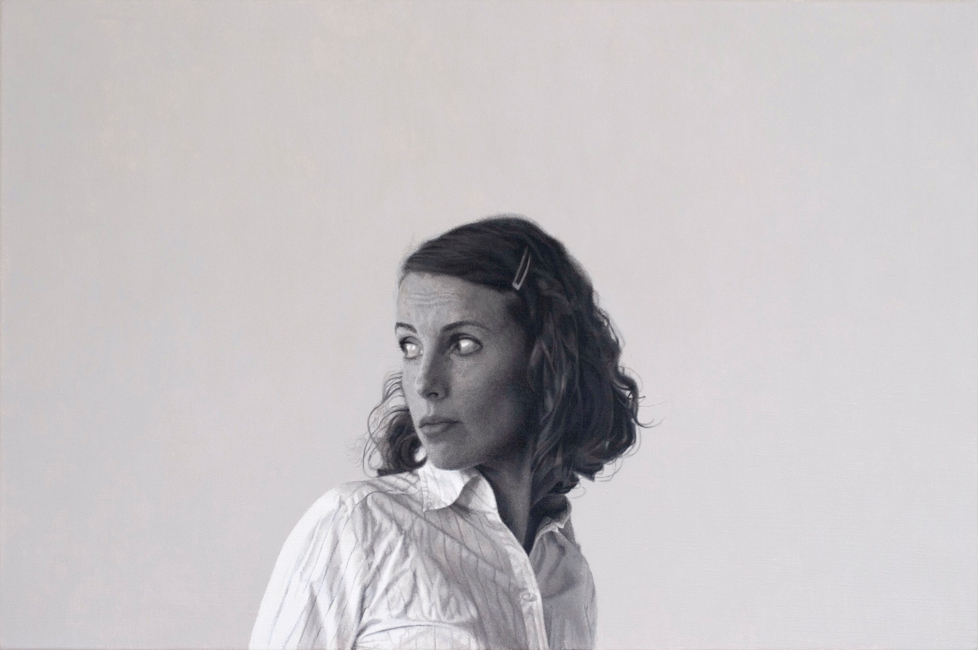 Number 23, 2009, acrylic on linen, 405 x 610mm